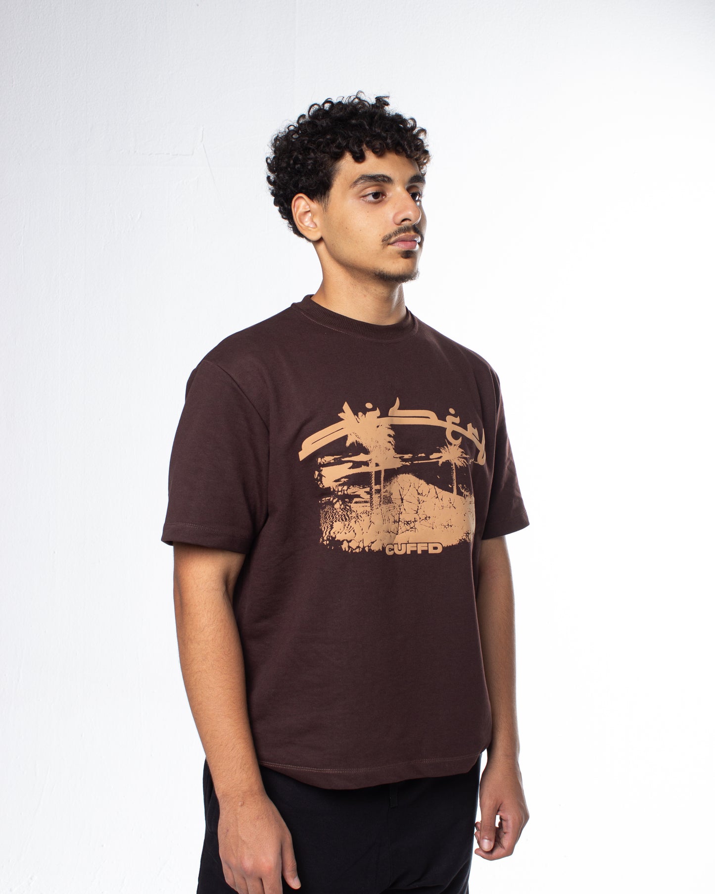 Brown Desert Tee
